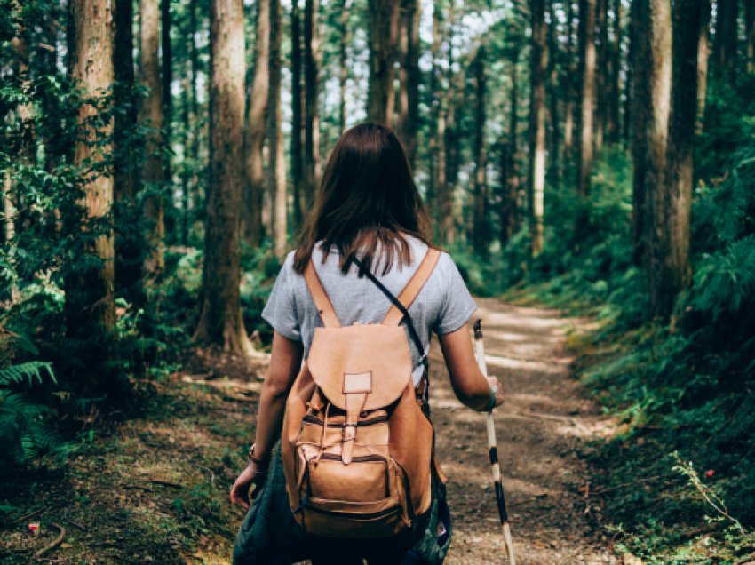 Trajtimi i stresit mund të jetë fare i lehtë – vizitoni një pyll!