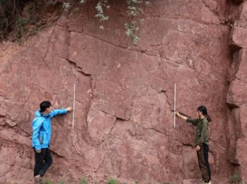 Shkencëtarët zbulojnë gjurmë dinozaurësh në Tibet