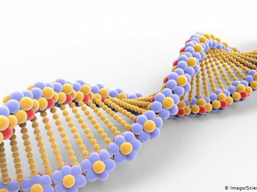 Corona: Depërtojnë grimca gjenetike të virusit në ADN-në e njeriut?