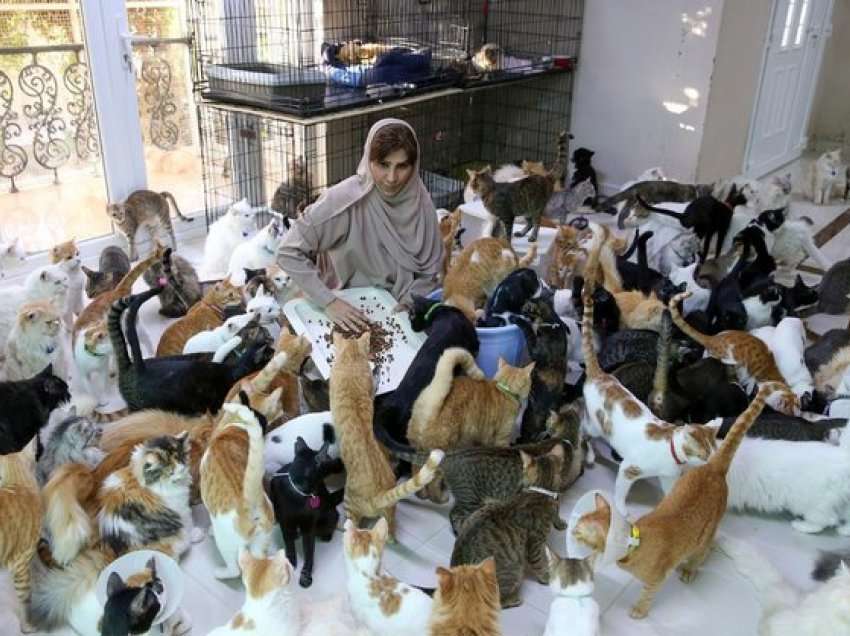 Gruaja me 500 mace e qen: Kafshët janë më besnike se njerëzit
