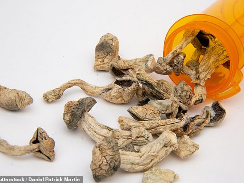 A munden kërpudhat të jenë çelësi për luftimin e mbipeshës?