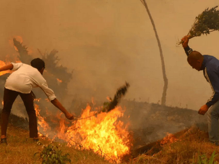 Më katastrofiket në dekada/ Nepali përfshihet nga zjarret, tymi mbulon vendin