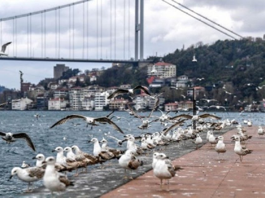 ​Turistët në Turqi përjashtohen nga masat shtrënguese