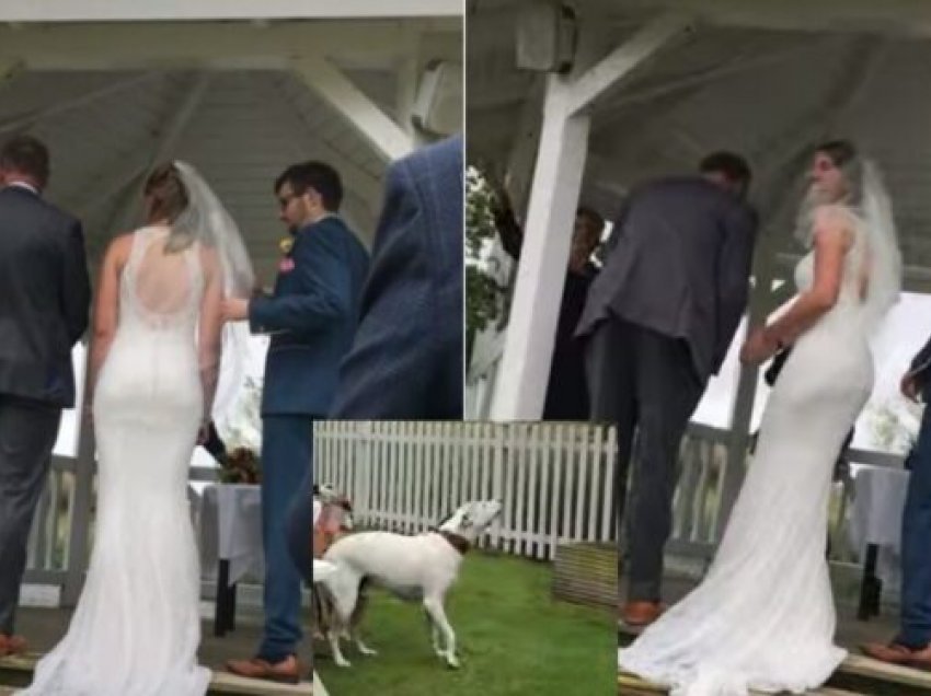 Qeni kundërshton martesën e të zotit