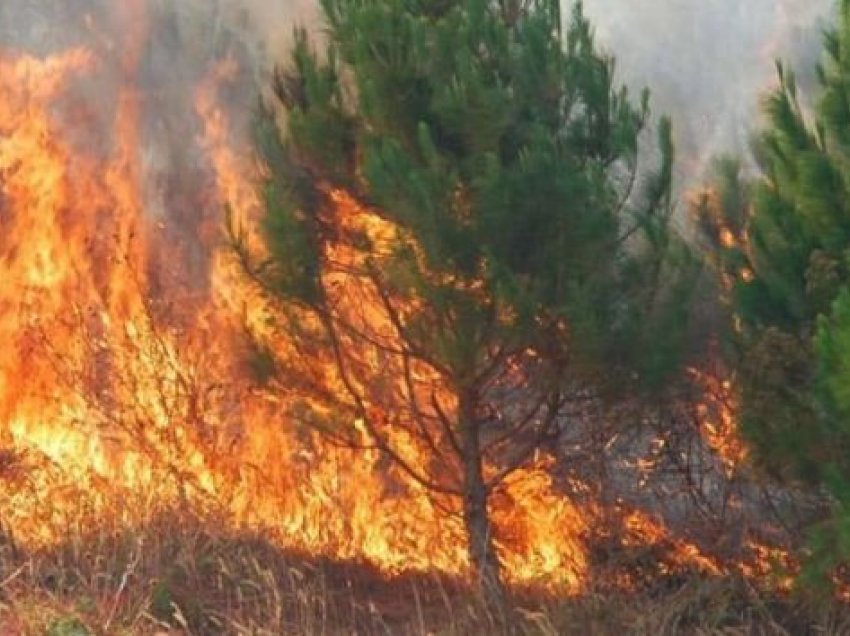 Zjarr i përmasave të mëdha në 3 fshatra të Mallakastrës