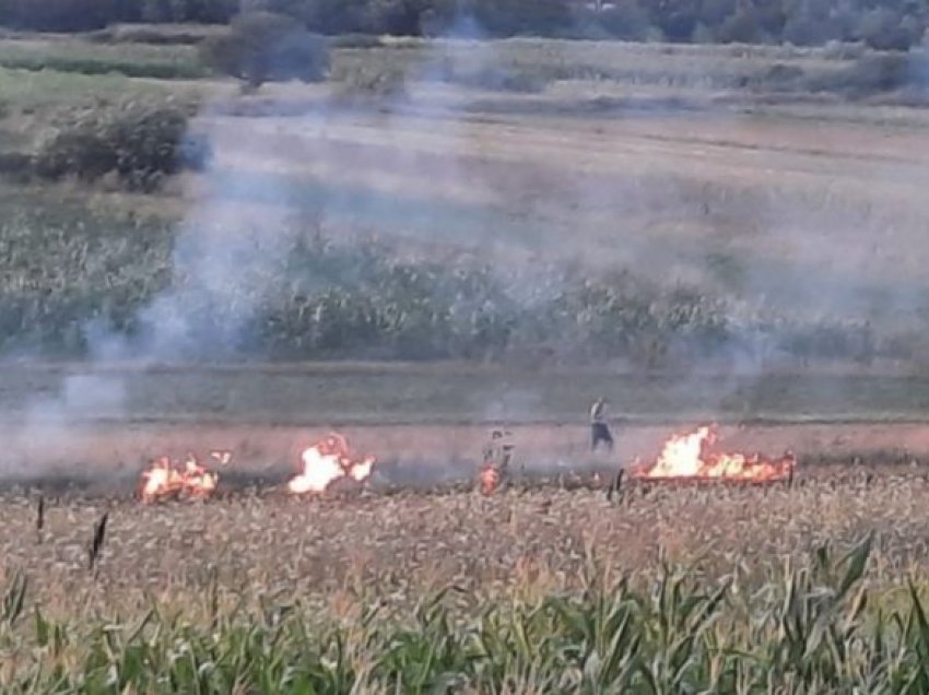 Tentime për të ndalur zjarrin në kufirin Bullgari – Maqedoni