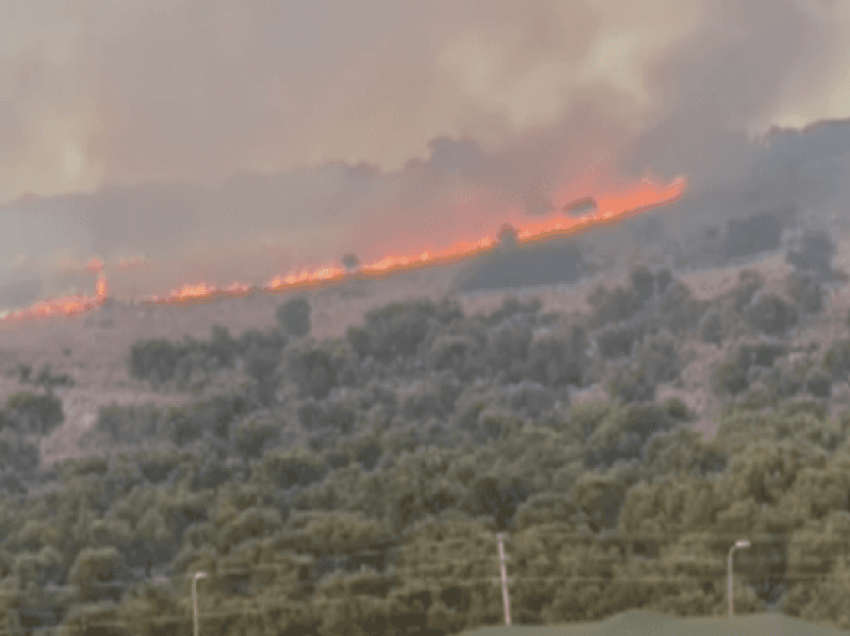 Zjarre në Fier, Kukës, Lezhë e Mirditë-digjen me dhjetëra hektarë pyje