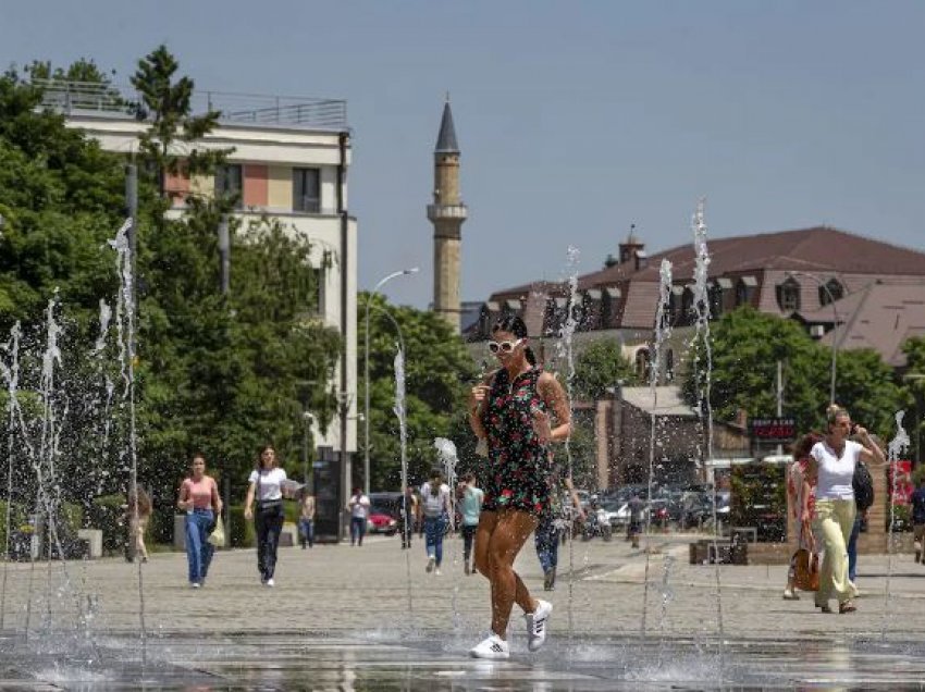 Zvicra ngre alarmin: Shqiptarët nga Kosova po e sjellin virusin me vete në shtëpi