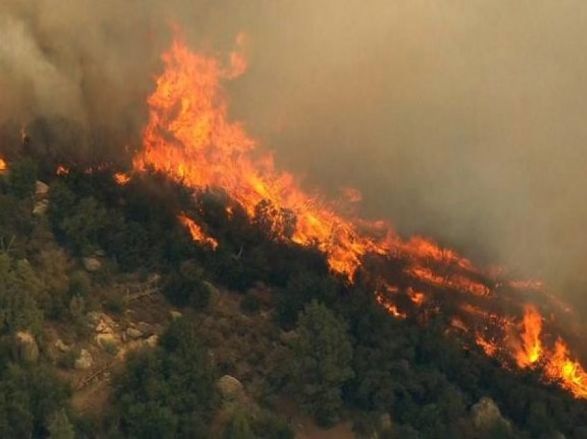 Zjarr edhe në Pogradec, përfshihet nga flakët masivi pyjor në zonën e Mokrës, zjarrfikësit drejt vendngjarjes