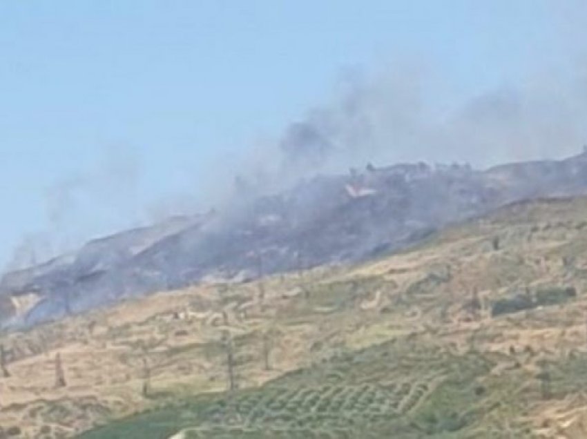 Maqedoni: Janë të sigurta të gjitha fshatrat pranë të cilëve ekzistojnë zjarre pyjore