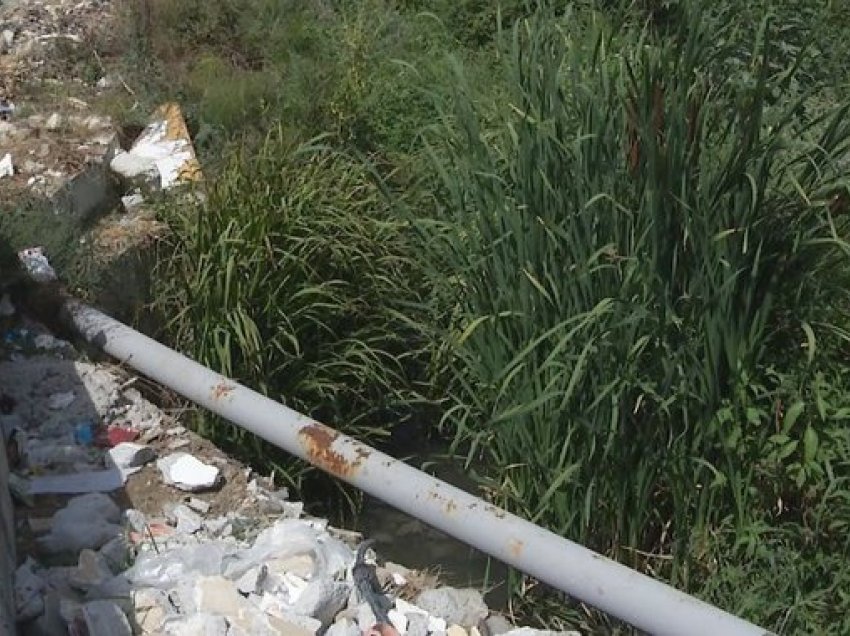 Bashkia Kamëz nuk pastron mbeturinat dhe kanalin