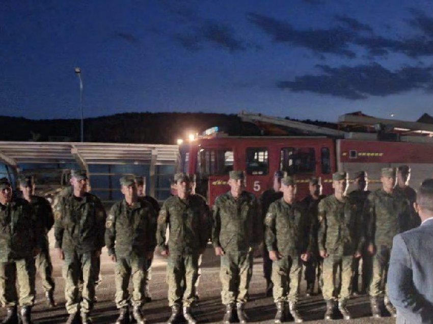 Basha: Mirënjohje Kosovës për ndihmën vëllazërore në betejën me zjarret