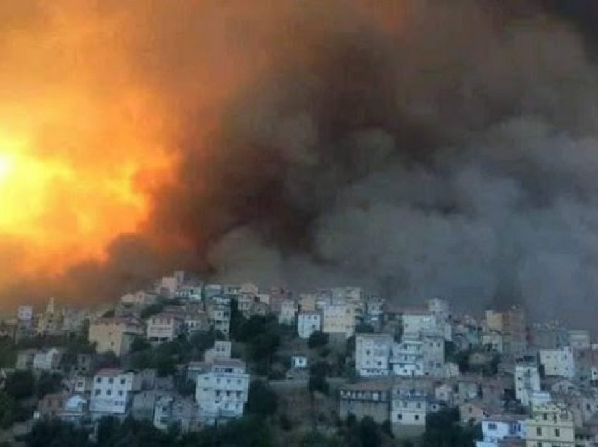 ​Gjashtë të vdekur nga zjarret në Algjeri