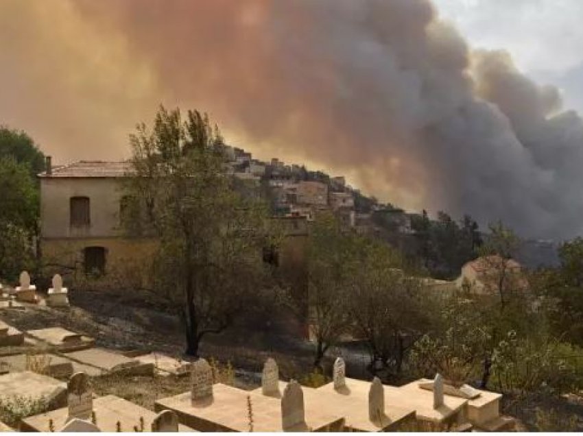 Rëndohet bilanci i viktimave në Algjeri, zjarret u marrin jetën 64 personave