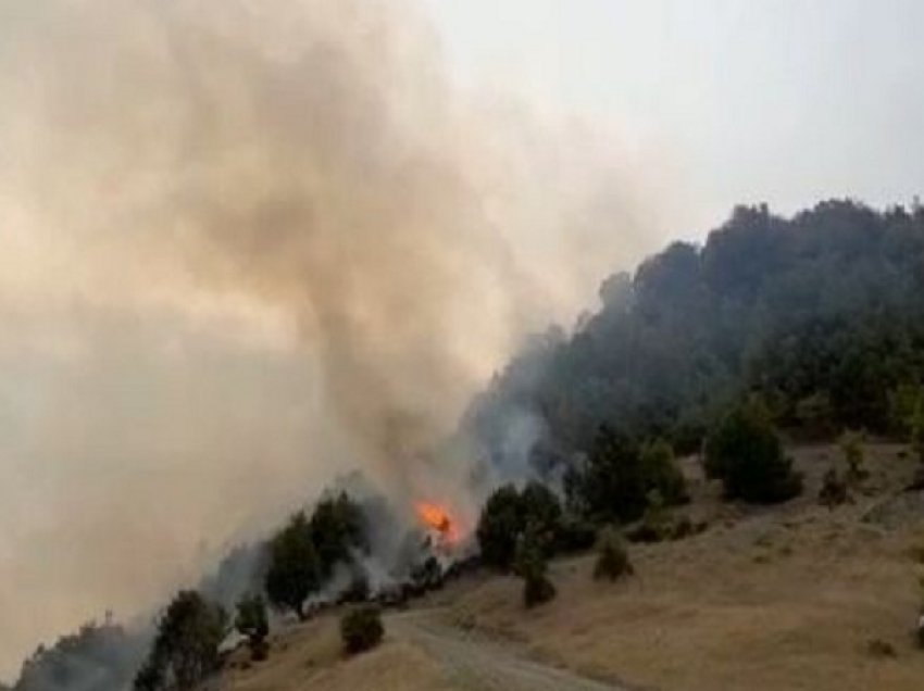 Korça bën bilancin e dëmeve nga zjarret, ja sa hektarë me pyje janë djegur