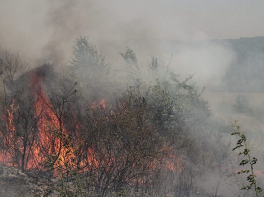 Në pesë fshatra të Kosovës zjarr