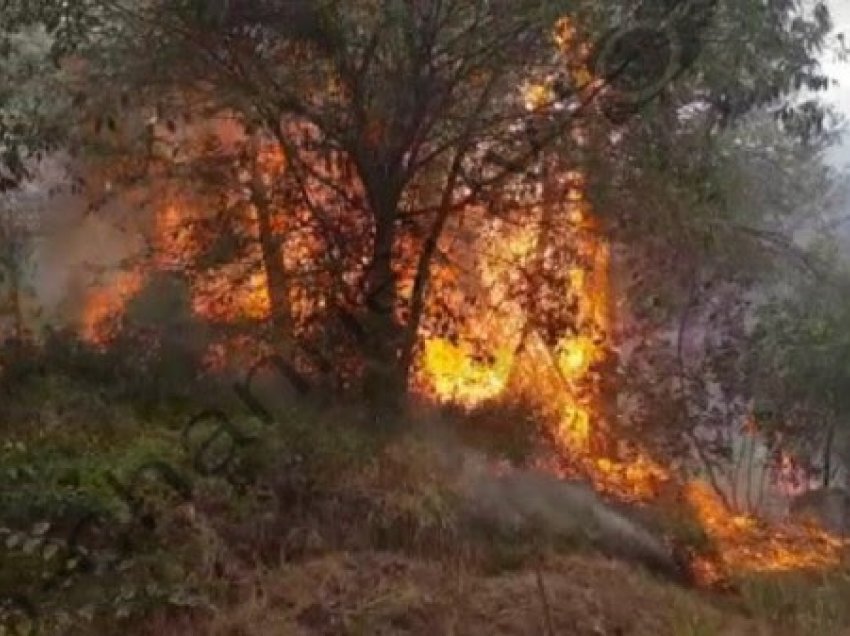 ​10 vatra aktive të zjarreve në Shqipëri, flakët i afrohen banesave në fshatin Flet
