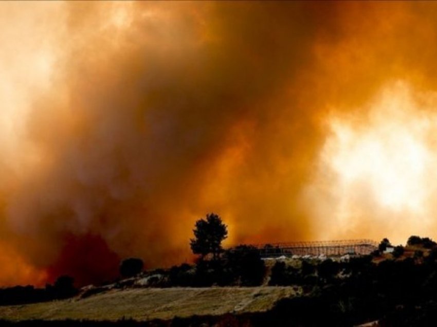 Dëmet nga zjarret në Evropë, rikuperimi i tyre kërkon vite