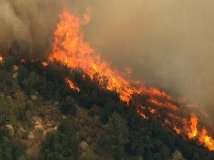 9 vatra zjarri në sipërfaqet pyjore në Veri të Shqipërisë
