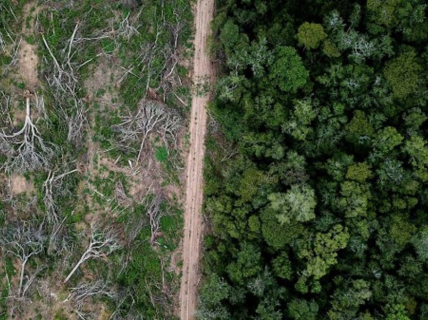​Shpyllëzimi në Amazonë redukton reshjet e shiut