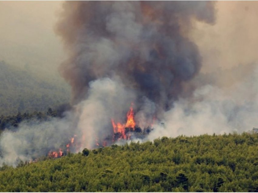 Në ishullin Evia shpërthen një zjarr i ri, evakuohen 3 vendbanime