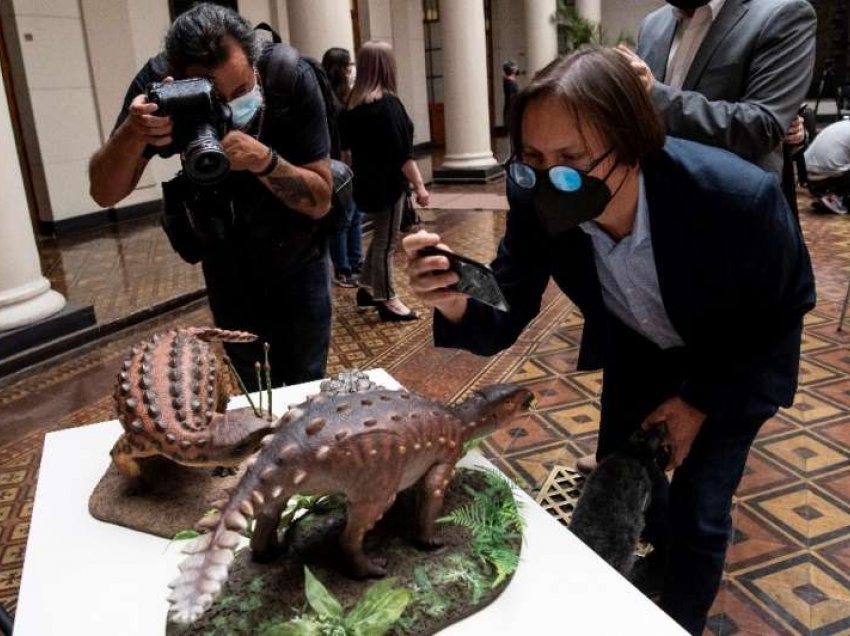 Bishti i dinosaurit i gjetur në Kili mahnit shkencëtarët