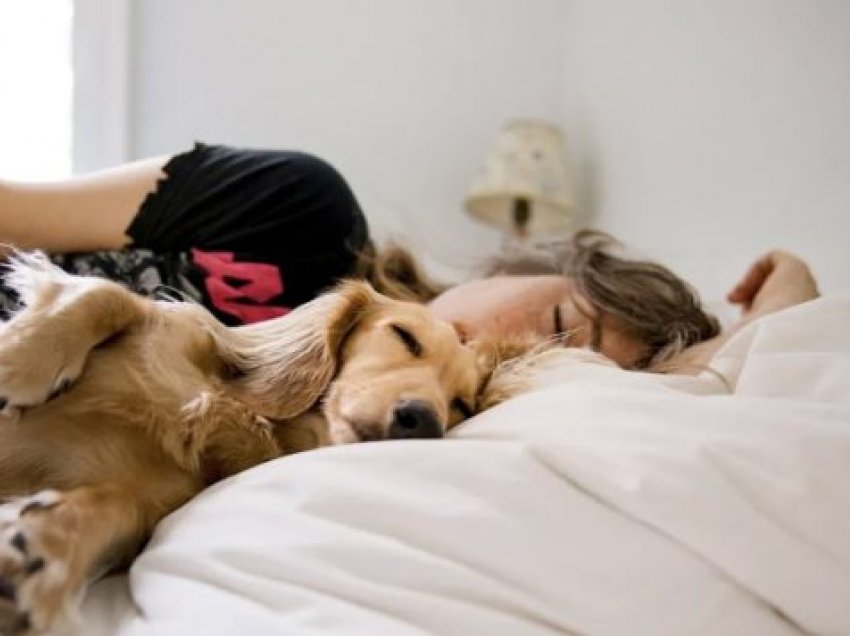 Studimi i ri: Njerëzit janë më të lumtur kur flenë me qenin e tyre sesa me partnerin