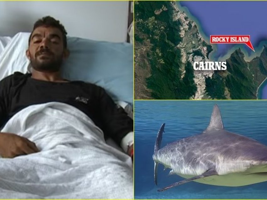 I mbijetuari nga sulmi i peshkaqenit rikujton momentin e frikshëm 