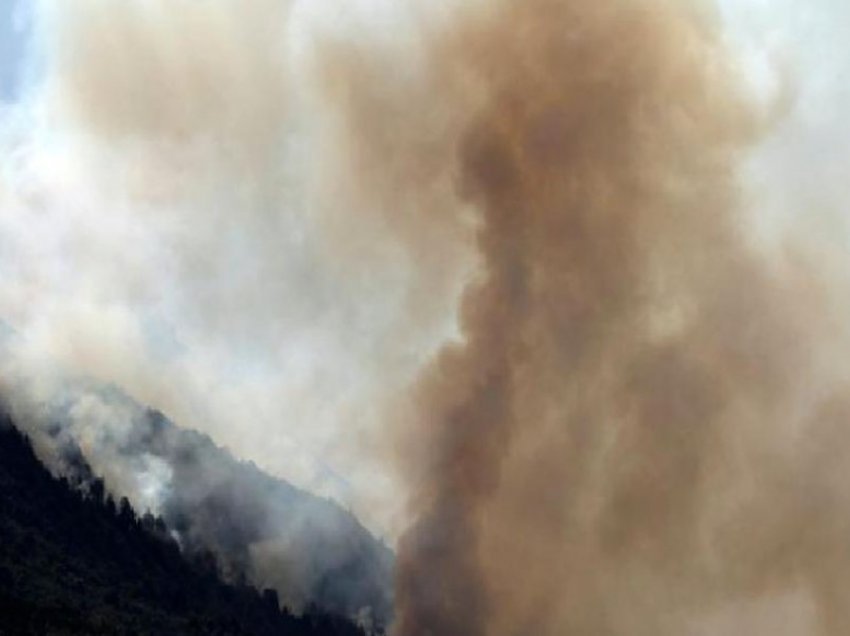 Zjarret e tërbuara në Argjentinë errësojnë qiellin me shtëllunga tymi, digjen mijëra ha pyje