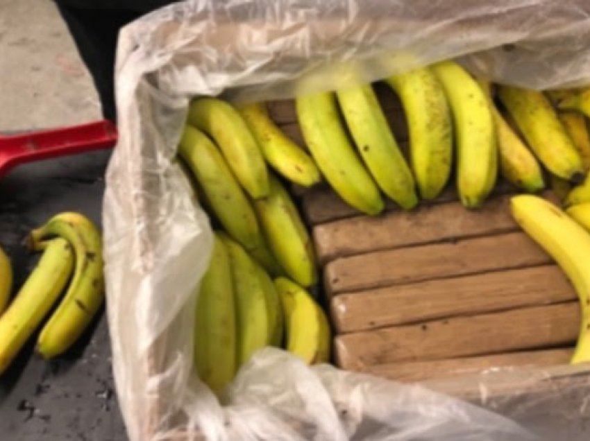 Policia jep detaje për sekuestrimin e mbi 100 kg kokainë që ishte kapur në kamionin e mbushur me banane