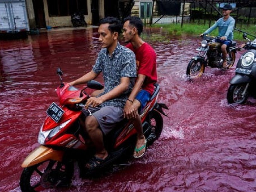 Pamje të habitshme një fshat në Indonezi përfshihet nga “përmbytjet e kuqe”, duken si liqen gjaku