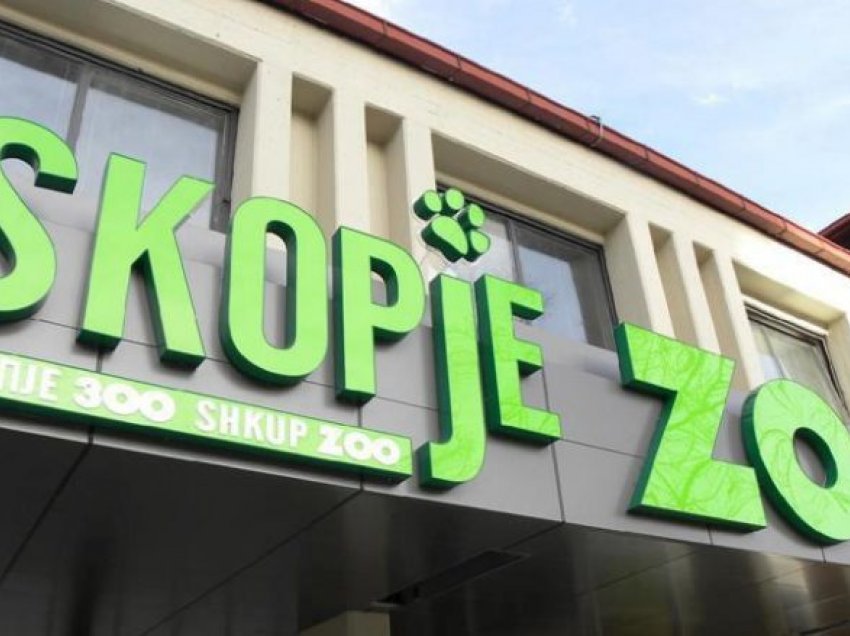 Këtë fundjavë mbi 12.000 vizitorë në Kopshtin Zoologjik në Shkup
