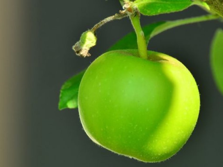 5 benefite shëndetësore të mollës