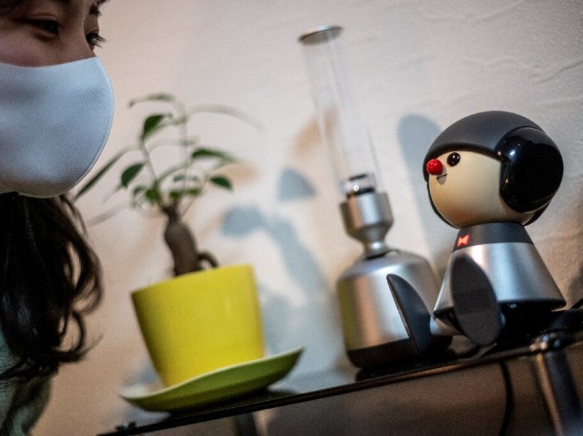Përshëndetje robot…/ Një android për të zbutur mërzinë e izolimit
