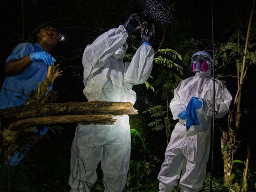 Pas HIV, Ebola, Covid-19, mjekët përgatiten për 'Sëmundjen X'