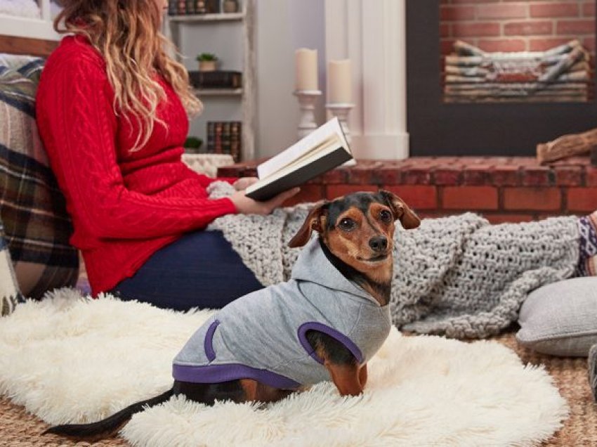 Pallto, çizme dhe shtëpi: Kujdesuni për qenin tuaj ditëve të ftohta