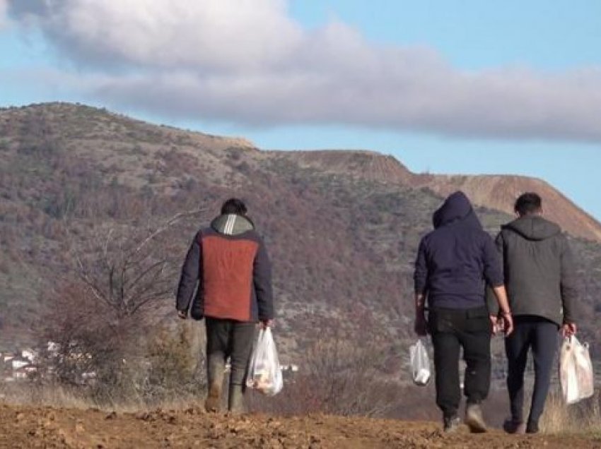 Itinerari i Ballkanit: Rruga e sirianëve përmes Shqipërisë drejt Evropës Perëndimore