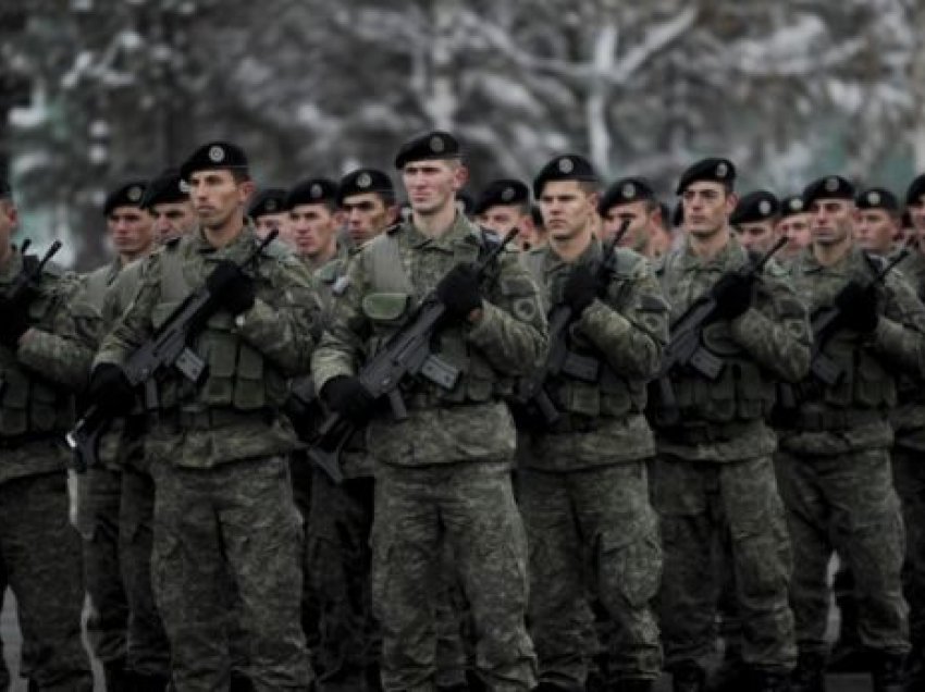 12 vite nga shndërrimi i TMK-së në FSK, Kosova ka veç 2700 ushtarë