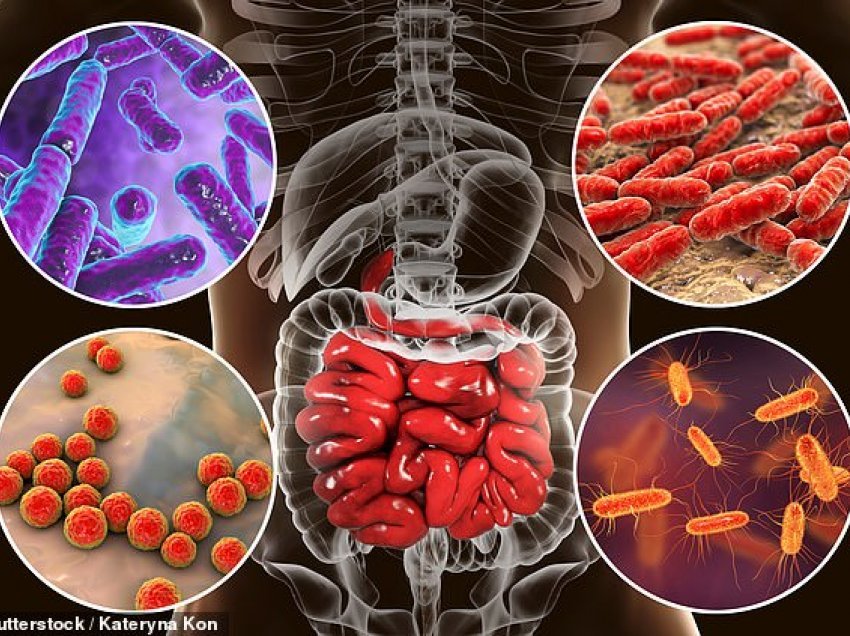 Bakteret e zorrëve e ndikon mënyrën se si ju e përballoni Covid-19 dhe sa të rënda janë simptomat