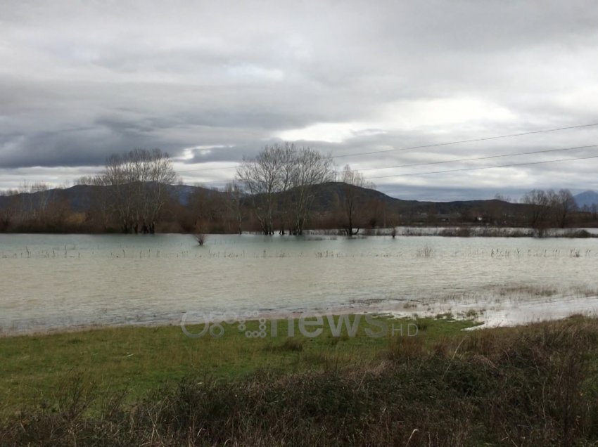 Reshjet ndaluan por uji mbetet/Mbi 1900 hektarë tokë ende nën ujë në Shkodër, banorët akuza qeverisë