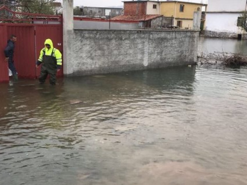 Përmbytjet në Shkodër/ 738 hektarë tokë nën “pushtetin” e ujit