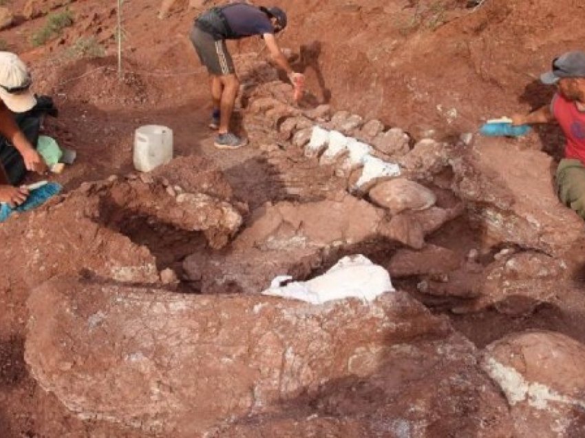 ​Fosilet e dinosaurëve të gjetur në Argjentinë mund t'i përkasin krijesës më të madhe në botë
