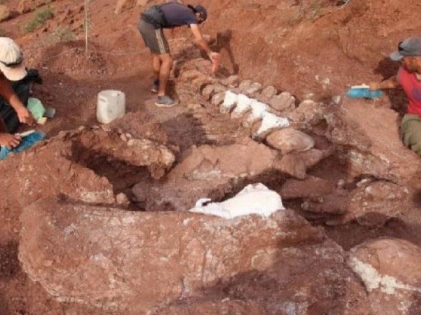Fosilet e dinozaurëve të gjetur në Argjentinë mund t’i përkasin krijesës më të madhe në botë