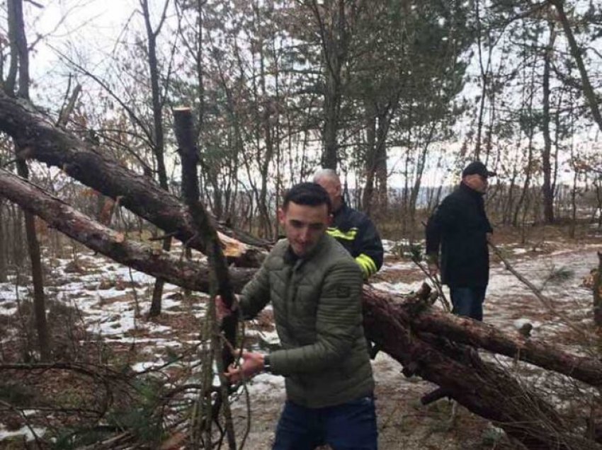 Drunjtë bien dhe zënë shtigjet në parkun e paqes, drejtori i Komunës së Podujevës i largon ata