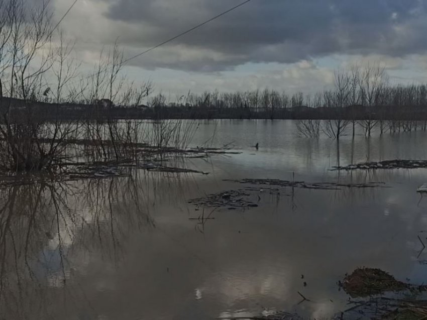 Përmbytje dhe në Kurbin, disa familje të izoluara nga uji në fshatin Gjorm