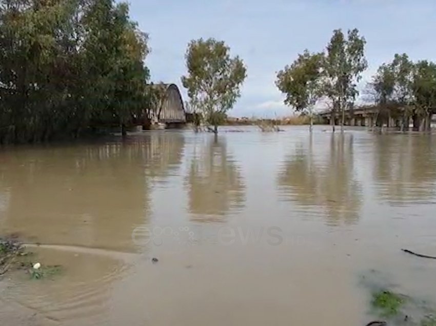 Lumi Vjosë përmbyt zonën pranë Urës së Mifolit