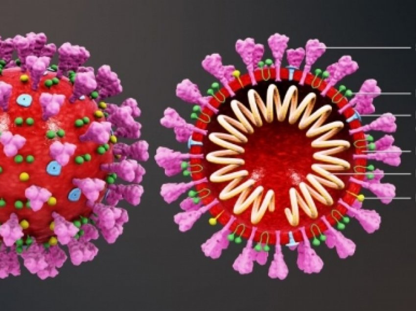 Mospërputhje mes Britanisë dhe OBSH për variantin e ri të koronavirusit