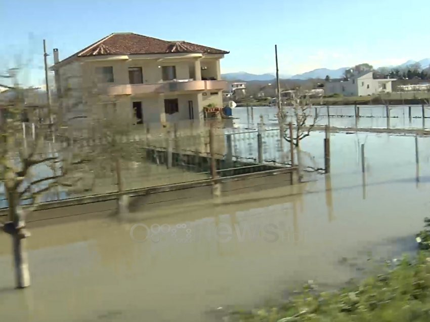 Pasojat nga përmbytjet, banorët në Durrës kërkojnë ushqime për familjen dhe për bagëtinë