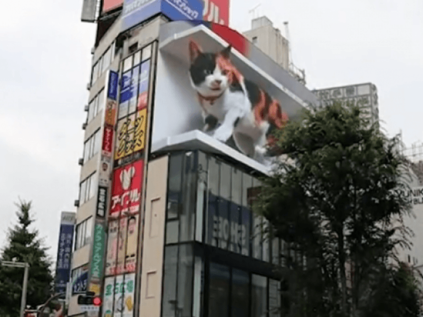 Në ekranet më të mëdha të Tokios shfaqet një “mace” gjigante 3D 