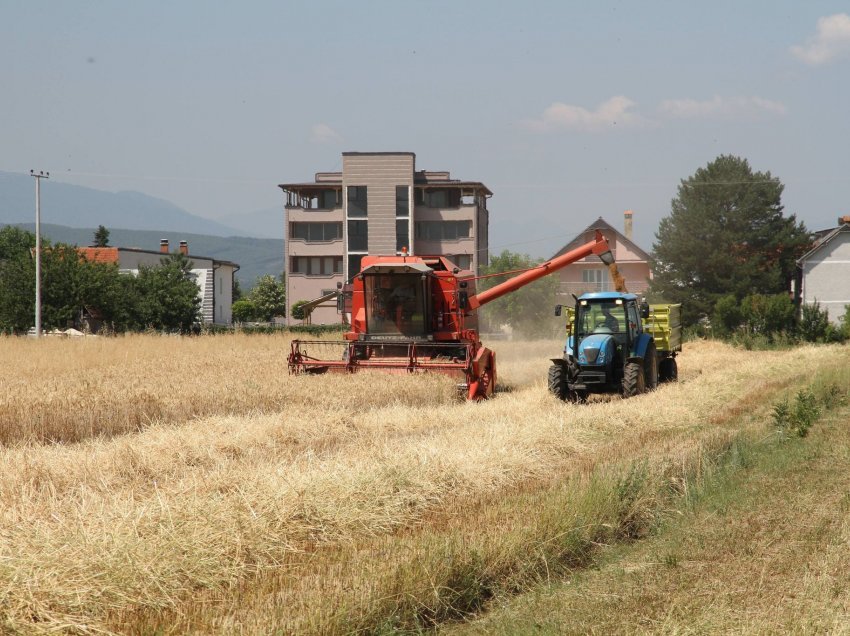 Nisin korrje–shirjet në komunën e Vitisë